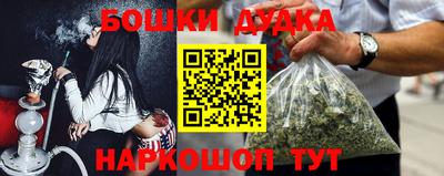 apvp Канаш