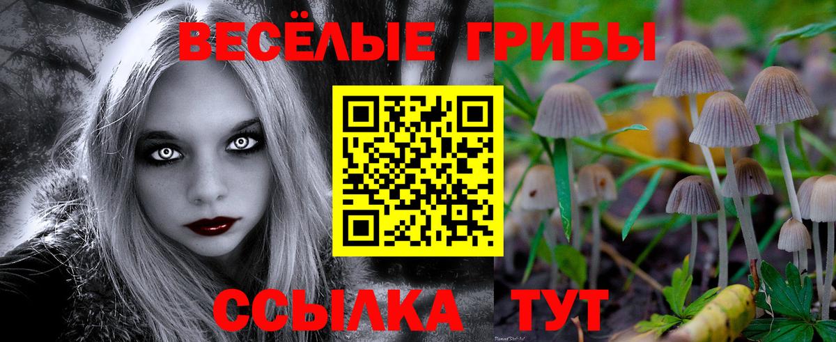 Псилоцибиновые грибы Psilocybine cubensis  Вход с VPN  Галлюциногенные грибы GOLDEN TEACHER  Ликино-Дулёво 